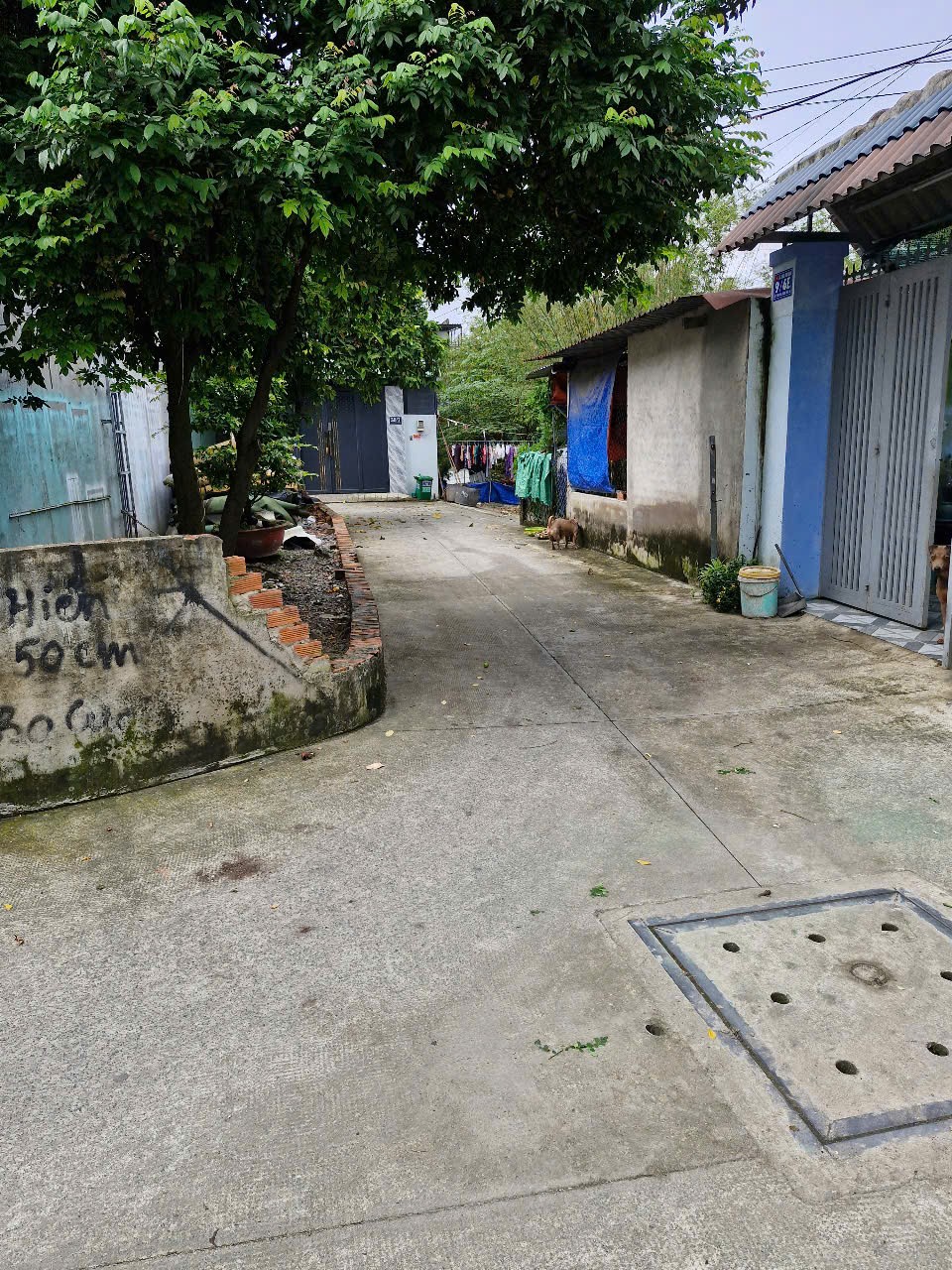 HÀNG SIÊU HIẾM DÃY TRỌ 2 MẶT TIỀN SHR NGAY TRUNG TÂM XUÂN THỚI ĐÔNG, HÓC MÔN! 3