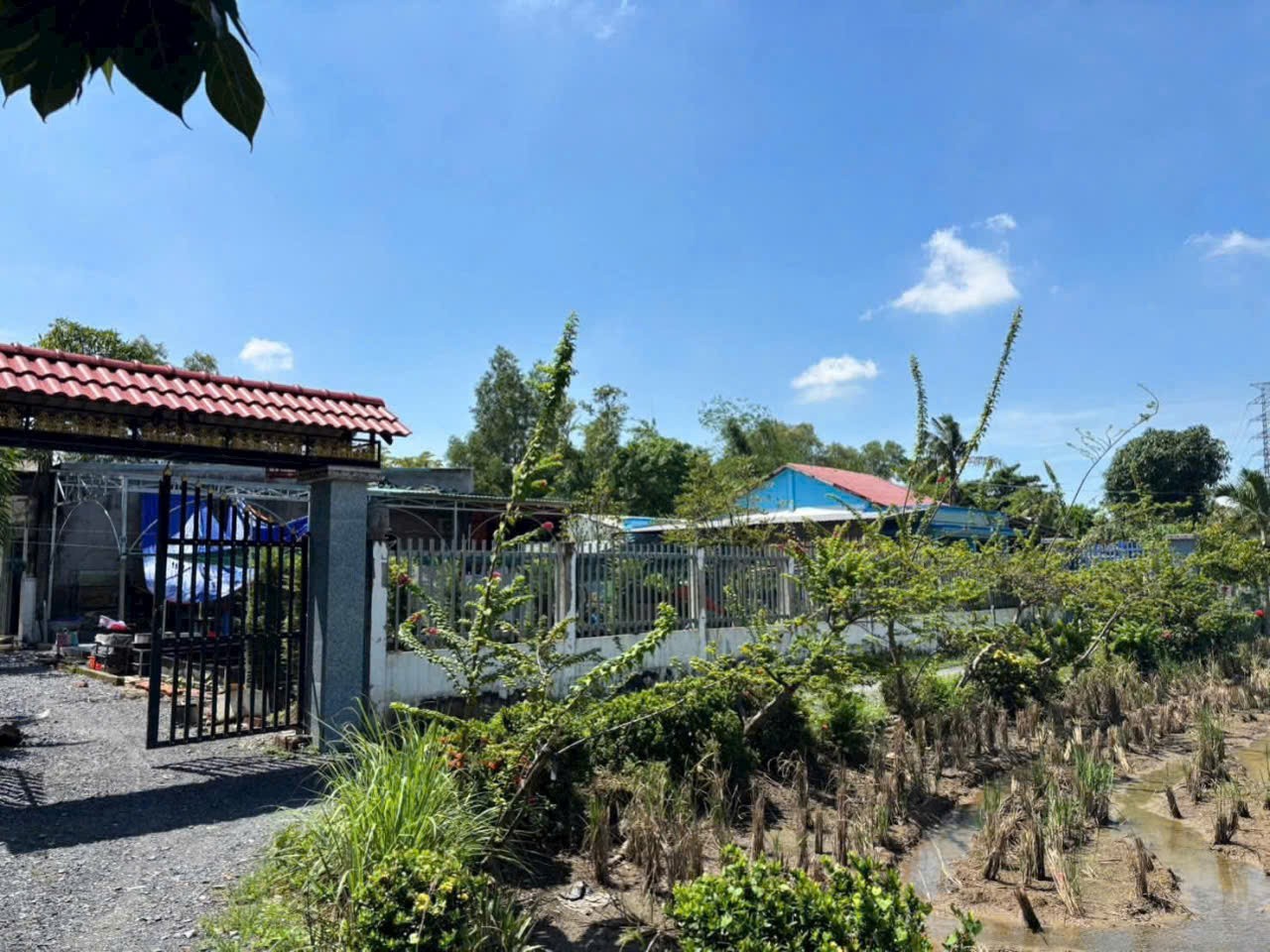 Nhà vườn thị trấn Tân Túc, Bình Chánh tdt 780m2 giá 5,3 tỷ