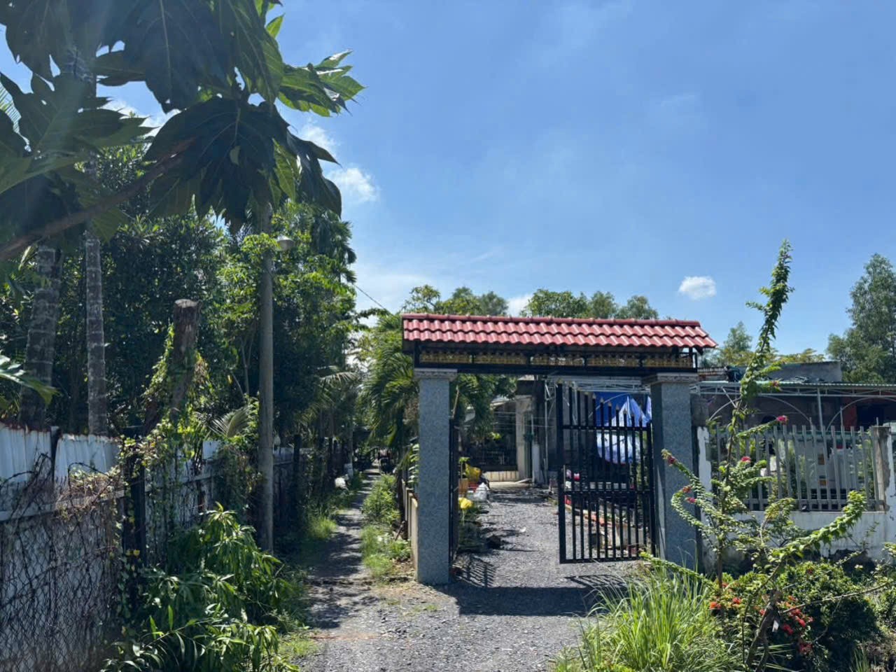 Nhà vườn thị trấn Tân Túc, Bình Chánh tdt 780m2 giá 5,3 tỷ 2