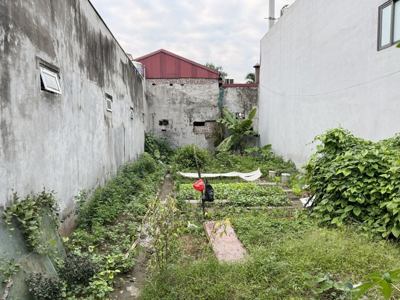 Đất ĐẸP 49,3m2 Khoan Tế, Bát Tràng - Đối Diện Quân Đội & UBND Xã | Mặt Đường 15m, Sổ Đỏ Chính Chủ 6