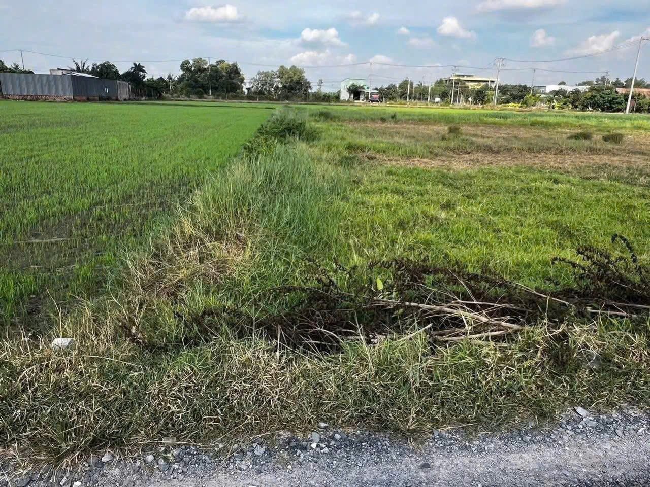 Bán đất thổ cư xã Đức  Lập Hạ dt 180m2 giá 800 triệu