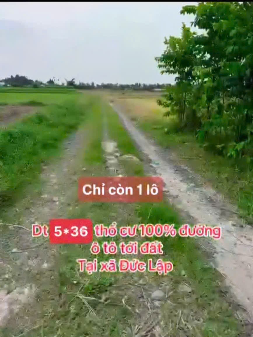 Bán đất thổ cư xã Đức  Lập Hạ dt 180m2 giá 800 triệu 2