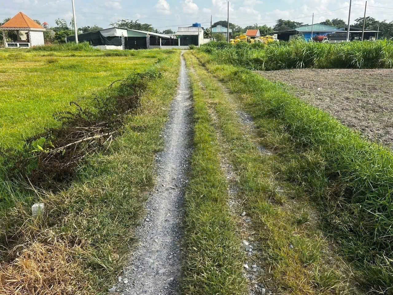 Bán đất thổ cư xã Đức  Lập Hạ dt 180m2 giá 800 triệu 3