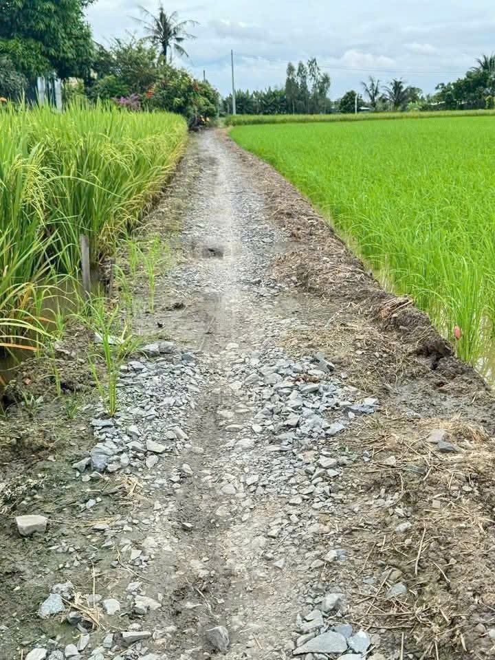 Đất thổ giá rẻ công nhân 300m2 mt xe máy xã Tân Lân 600tr