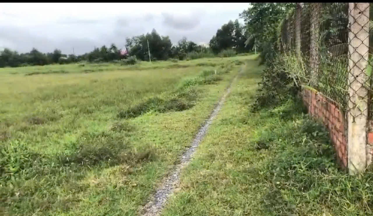 Bán đất thổ cư thị trấn Hậu Nghĩa, Đức Hòa dt 280m2 giá 1,5 tỷ