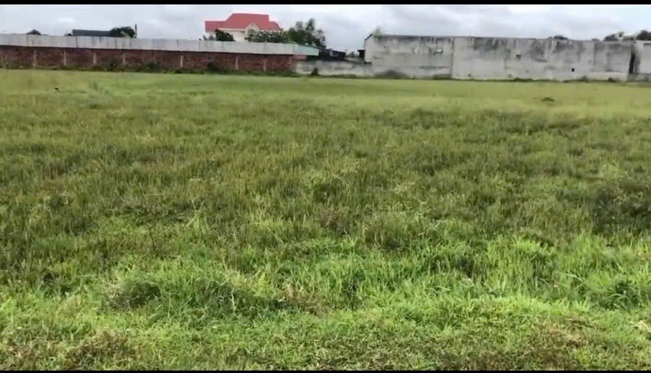 Bán đất thổ cư thị trấn Hậu Nghĩa, Đức Hòa dt 280m2 giá 1,5 tỷ 2