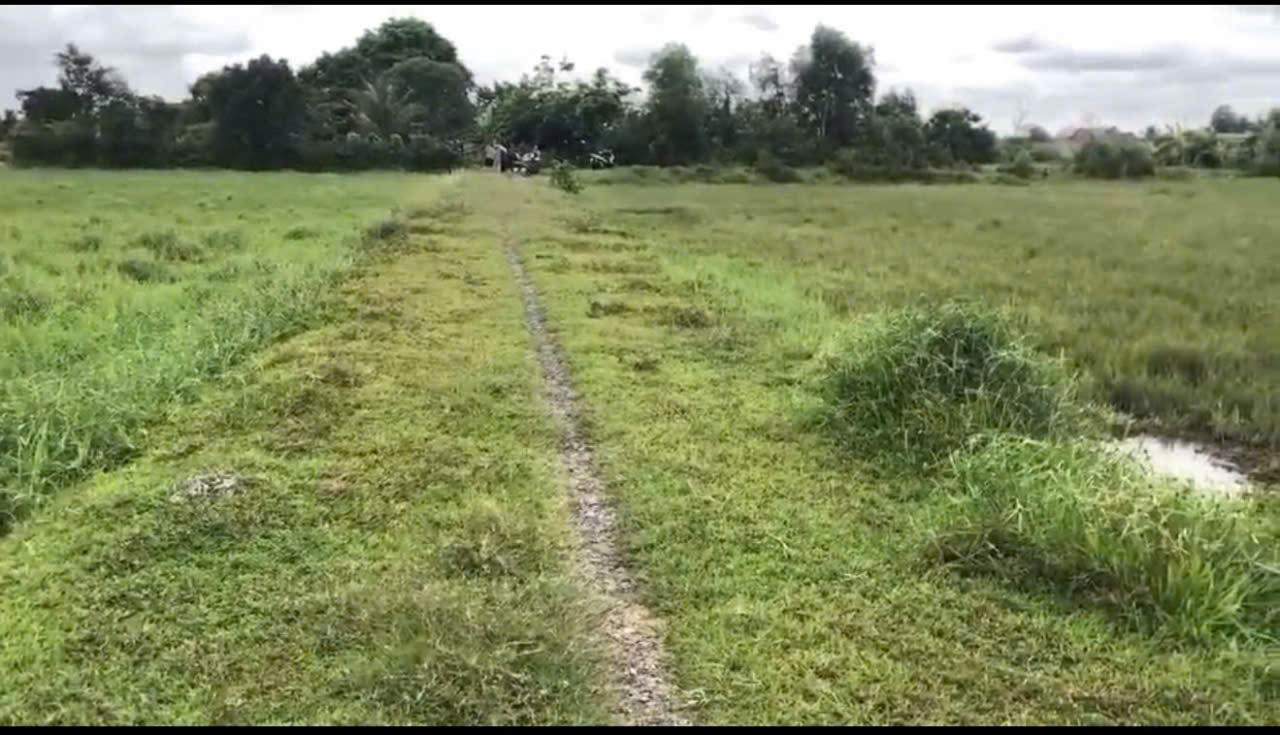 Bán đất thổ cư thị trấn Hậu Nghĩa, Đức Hòa dt 280m2 giá 1,5 tỷ 4