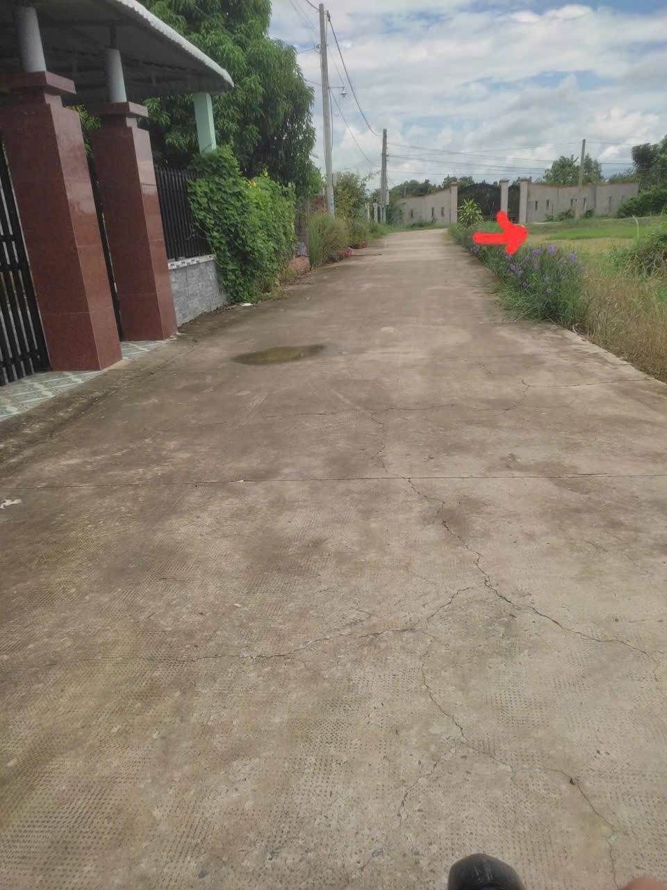 Bán đất thổ cư xã Đức Lập Hạ , Đức Hòa dt 170m2 giá 1,35 tỷ 3