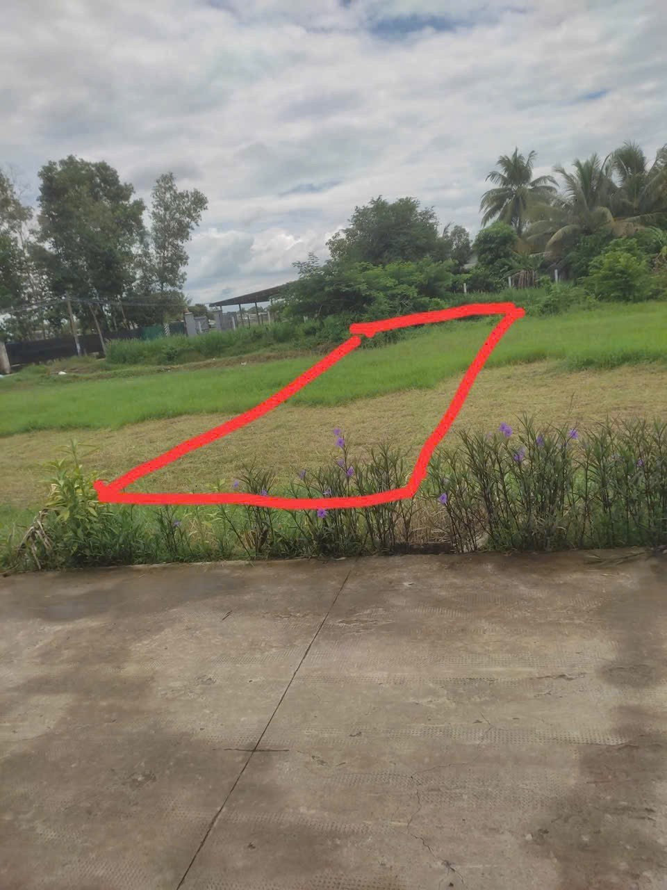 Bán đất thổ cư xã Đức Lập Hạ , Đức Hòa dt 170m2 giá 1,35 tỷ 4