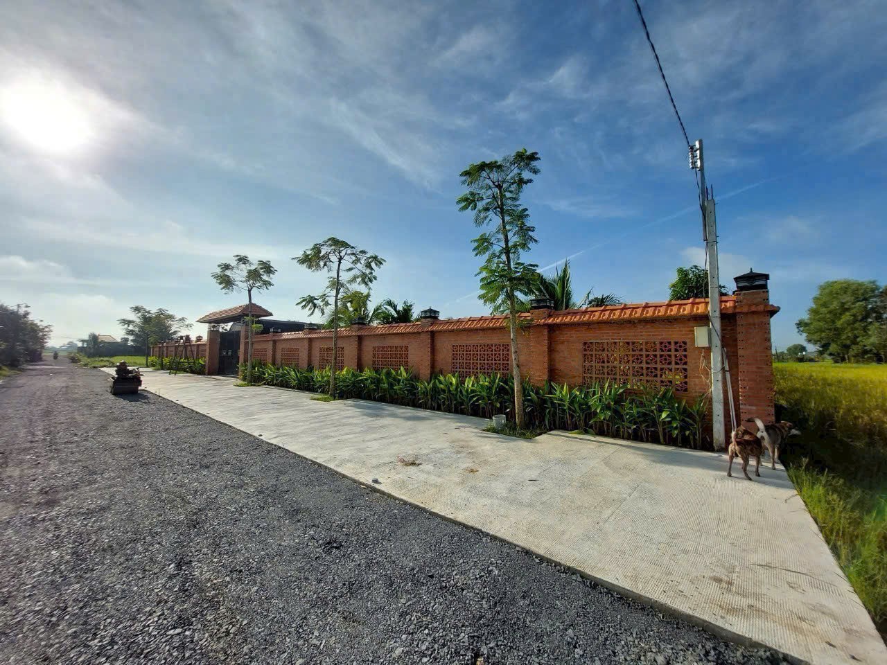 Bán nhà vườn đẹp thị trấn Hậu Nghĩa, Đức Hòa tdt 4300m2 ( có 292m2 thổ cư ) giá 12,5 tỷ 3