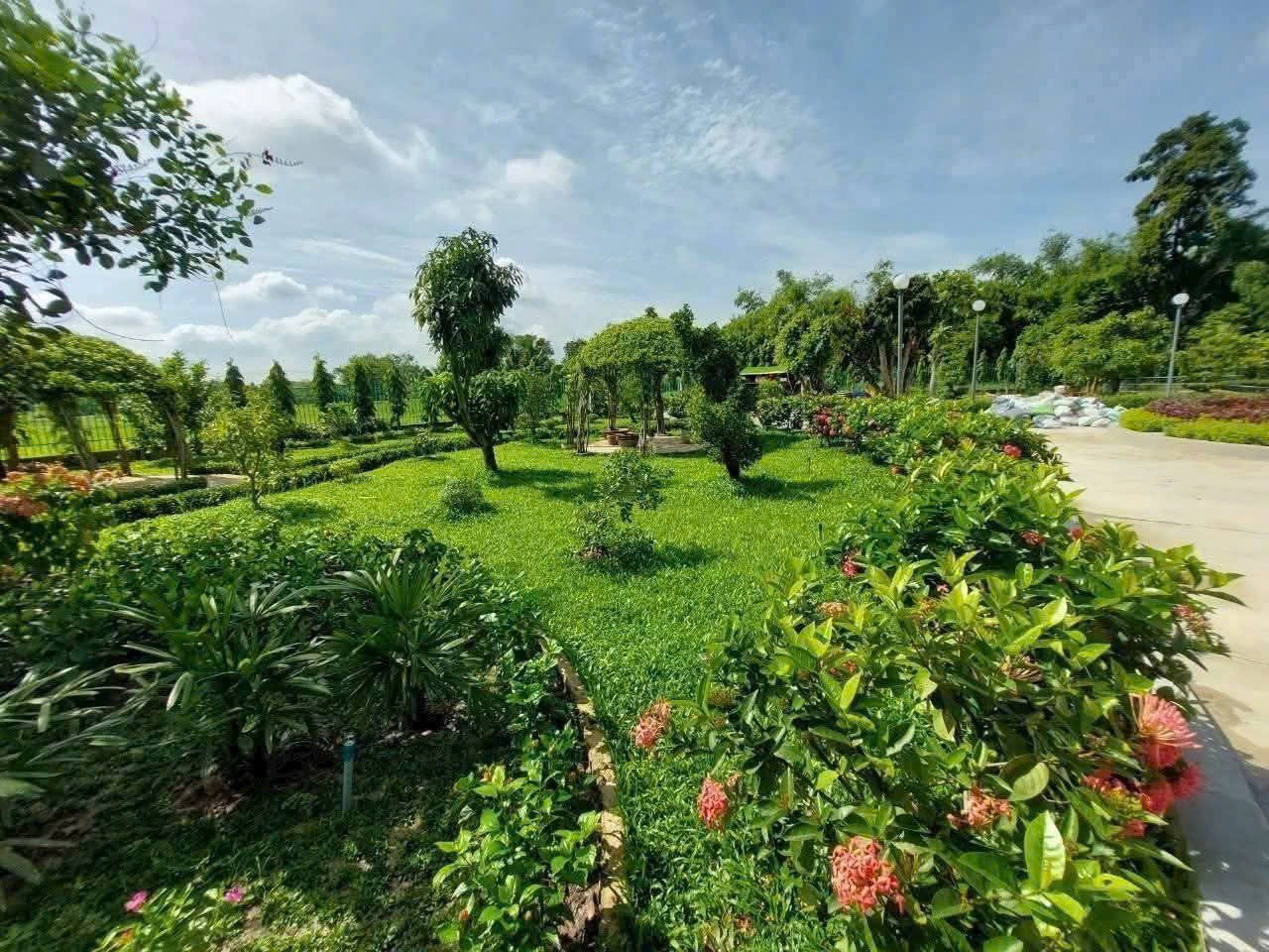 Bán nhà vườn đẹp thị trấn Hậu Nghĩa, Đức Hòa tdt 4300m2 ( có 292m2 thổ cư ) giá 12,5 tỷ 5