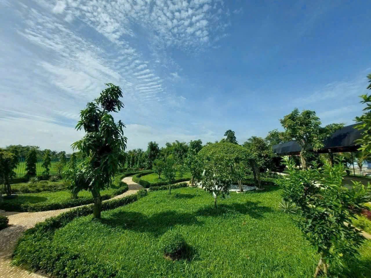 Bán nhà vườn đẹp thị trấn Hậu Nghĩa, Đức Hòa tdt 4300m2 ( có 292m2 thổ cư ) giá 12,5 tỷ 8