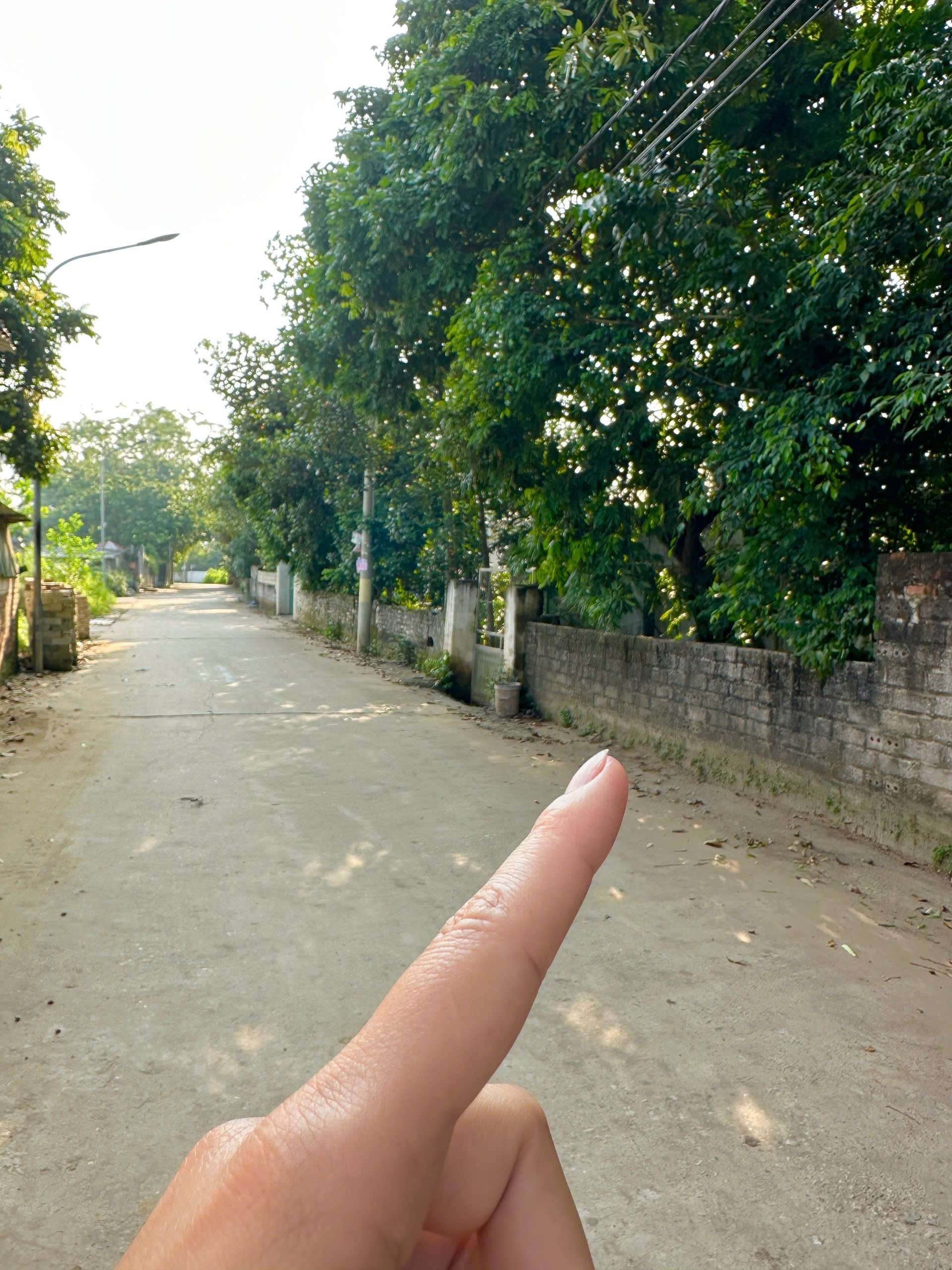 GIA ĐÌNH CẦN TIỀN BÁN GẤP LÔ ĐẤT 231m – MẶT ĐƯỜNG TRỤC CHÍNH KINH  DOANH, VĨNH LỘC, THIÊN MÃ 3