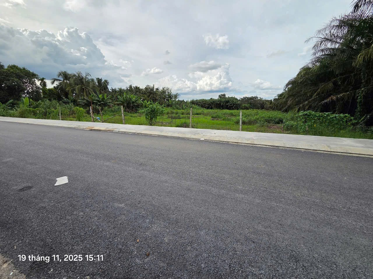 ĐẤT (35x83) MẶT TIỀN NHỊ BÌNH 5 (ĐÔNG THẠNH), HÓC MÔN  3.100M² NỞ HẬU – XE TẢI TRÁNH NHAU! 3