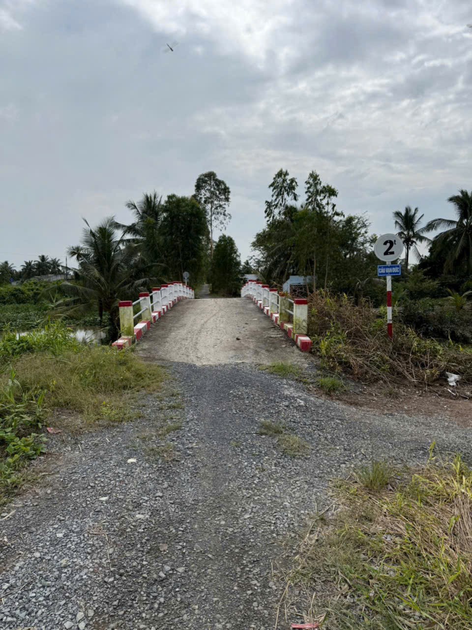 Bán đất vườn đường đá xanh xe 3 gác ,xã Tân Hòa, Bến lức dt 3000m2 giá 2,2 tỷ 3