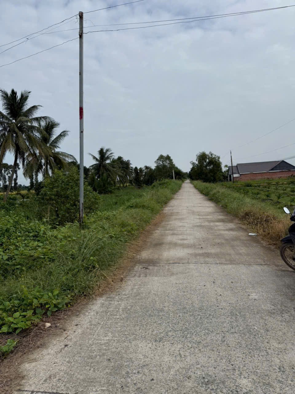 Bán đất thổ + vườn mặt tiền kênh ở xã Tân Hòa, Bến Lức tdt 1297m2 ( có 1200m2 thổ) giá 1,3 tỷ 2