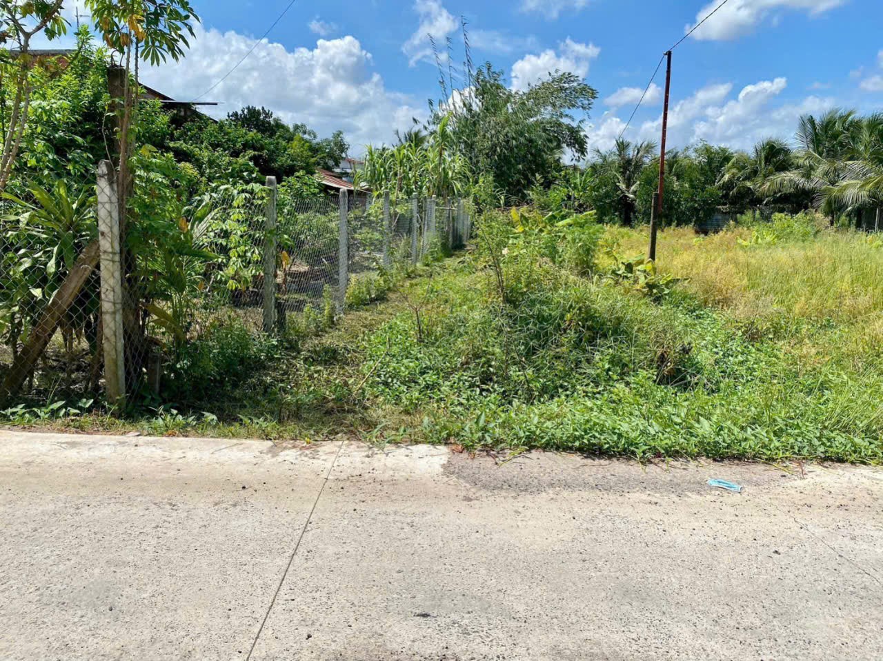 Bán đất thổ cư / Hồ Chí Minh , xã Hiệp Hòa, Đức Hòa dt 210m2 giá 970 triệu 3