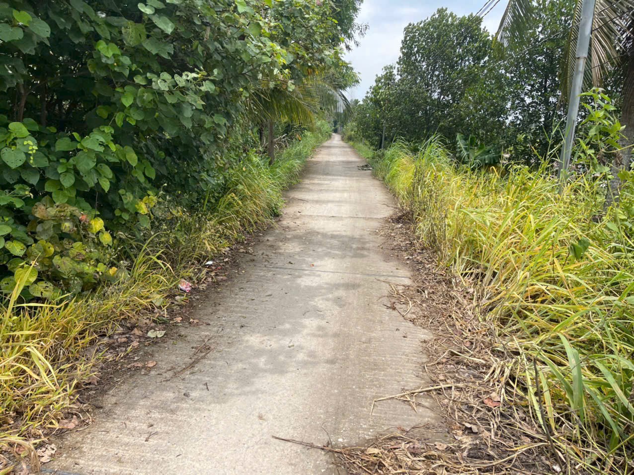 Bán đất mặt tiền kênh ở xã Tân Bửu , Bến Lức tdt 9600m2 ( có 131m2 thổ) giá 10 tỷ