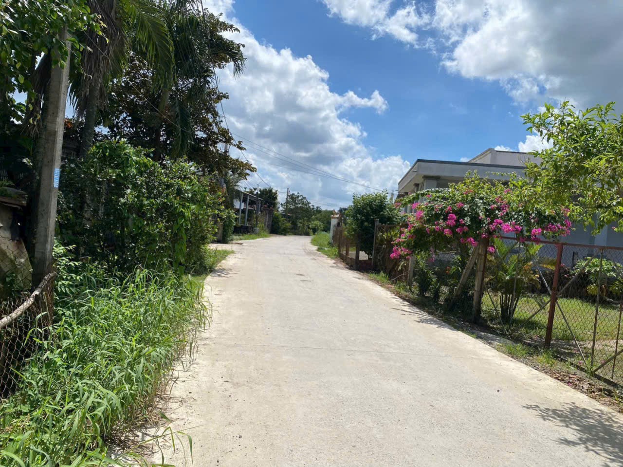 Bán đất mặt tiền kênh ở xã Tân Bửu , Bến Lức tdt 9600m2 ( có 131m2 thổ) giá 10 tỷ 2