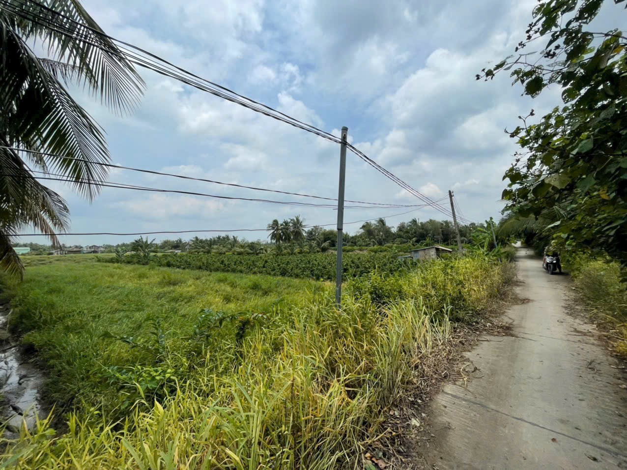 Bán đất mặt tiền kênh ở xã Tân Bửu , Bến Lức tdt 9600m2 ( có 131m2 thổ) giá 10 tỷ 3