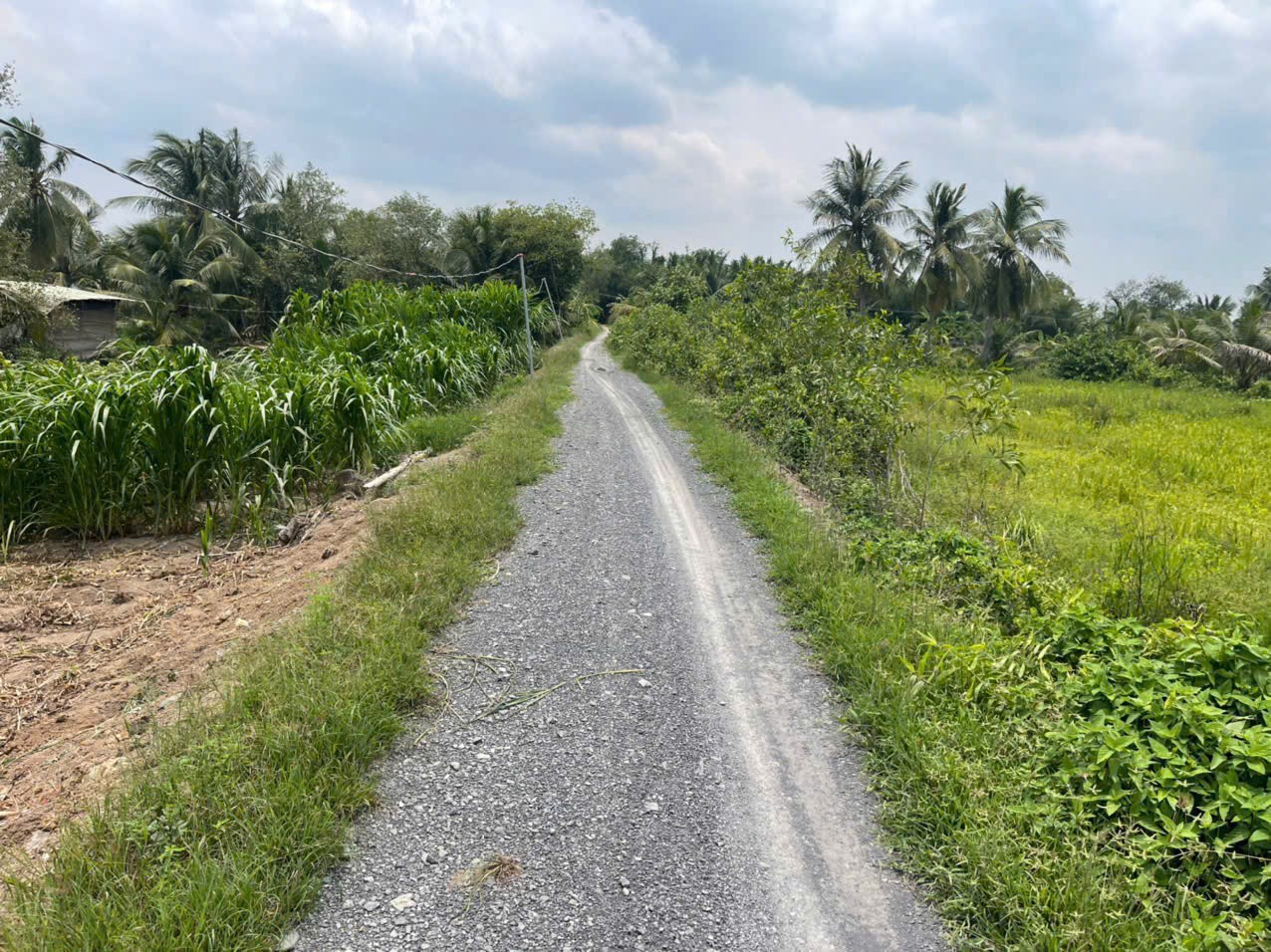 Bán đất mặt tiền kênh ở xã Tân Bửu , Bến Lức tdt 9600m2 ( có 131m2 thổ) giá 10 tỷ 4