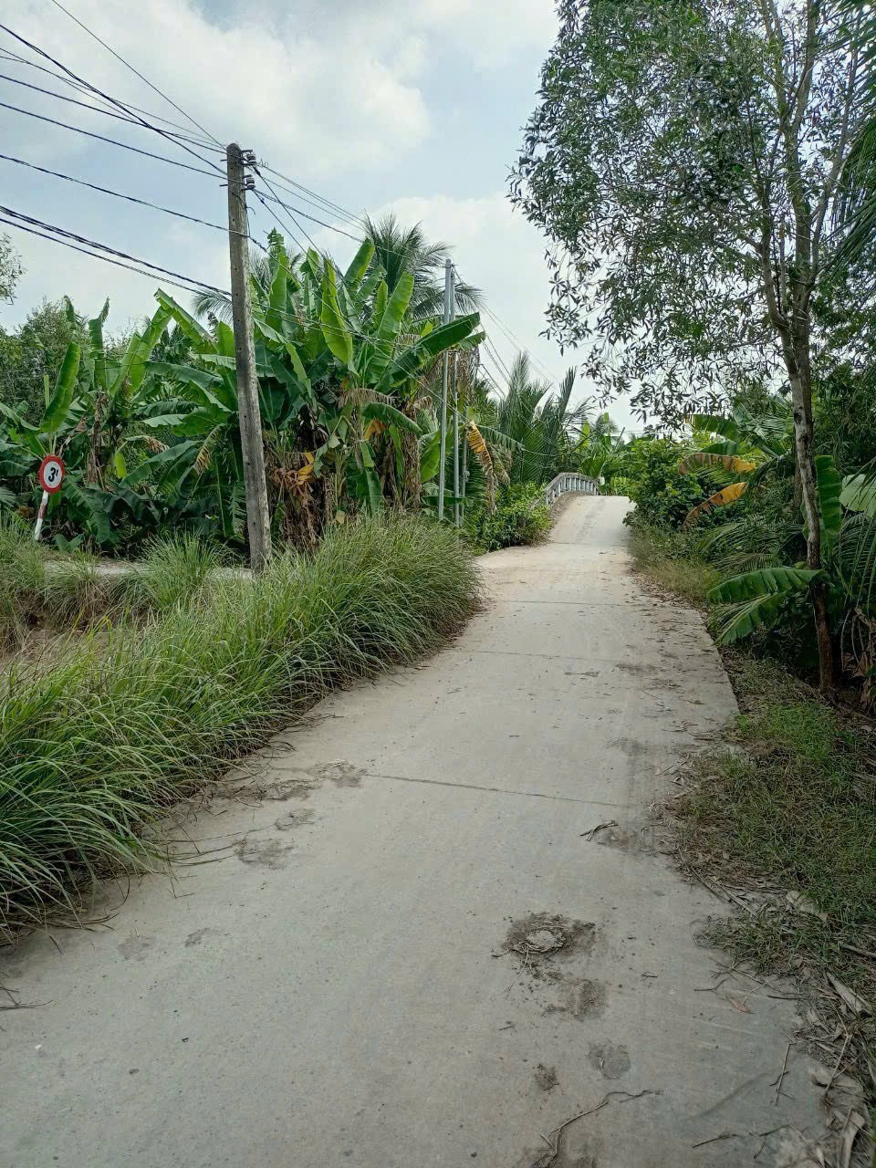 Bán đất mặt tiền kênh ở xã Tân Bửu , Bến Lức tdt 9600m2 ( có 131m2 thổ) giá 10 tỷ 6