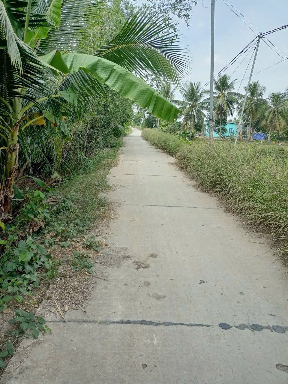 Bán đất mặt tiền kênh ở xã Tân Bửu , Bến Lức tdt 9600m2 ( có 131m2 thổ) giá 10 tỷ 9