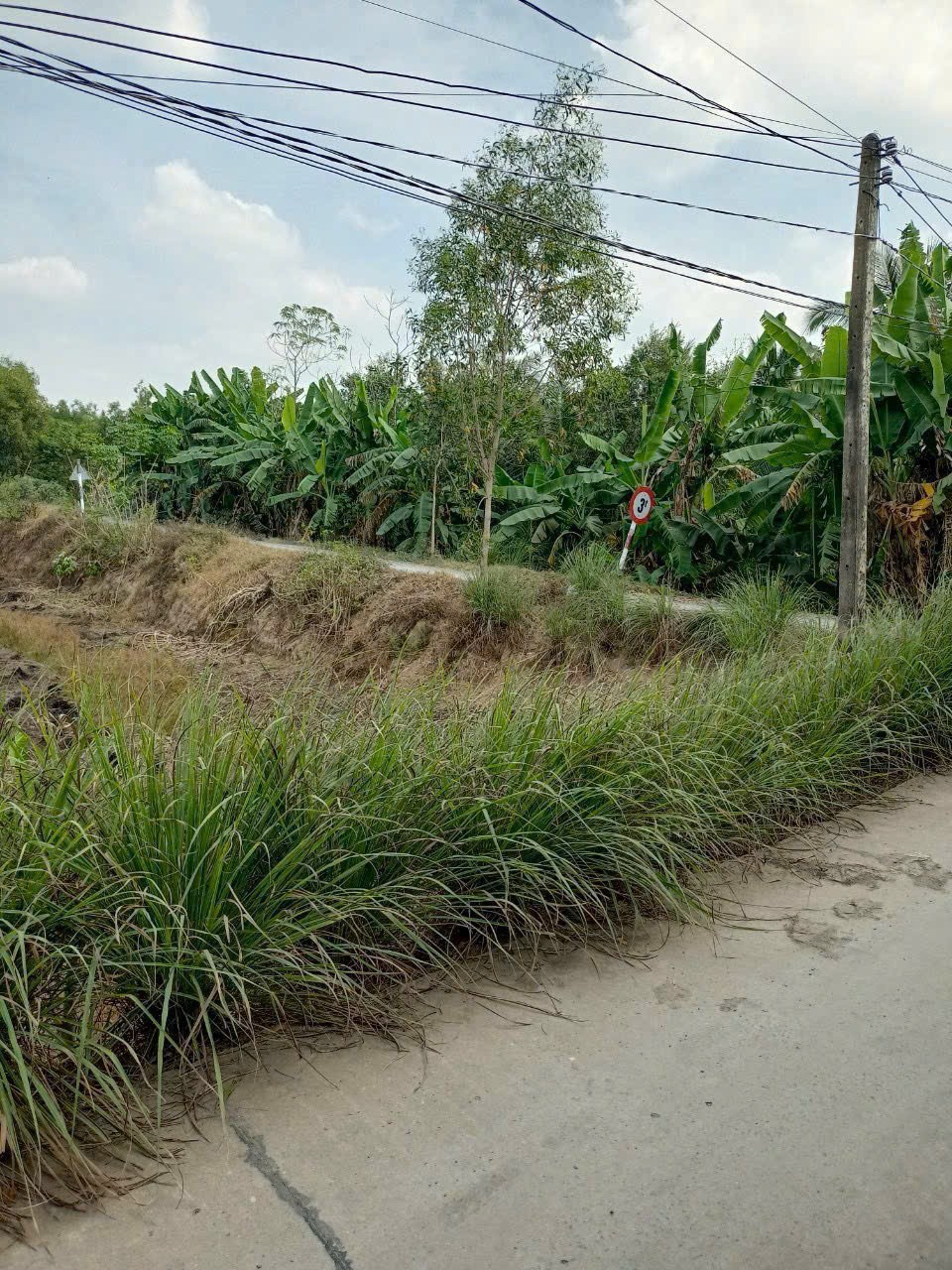 Bán đất mặt tiền kênh ở xã Tân Bửu , Bến Lức tdt 9600m2 ( có 131m2 thổ) giá 10 tỷ 10