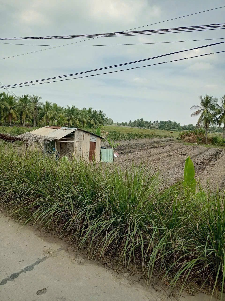 Bán đất mặt tiền kênh ở xã Tân Bửu , Bến Lức tdt 9600m2 ( có 131m2 thổ) giá 10 tỷ 11