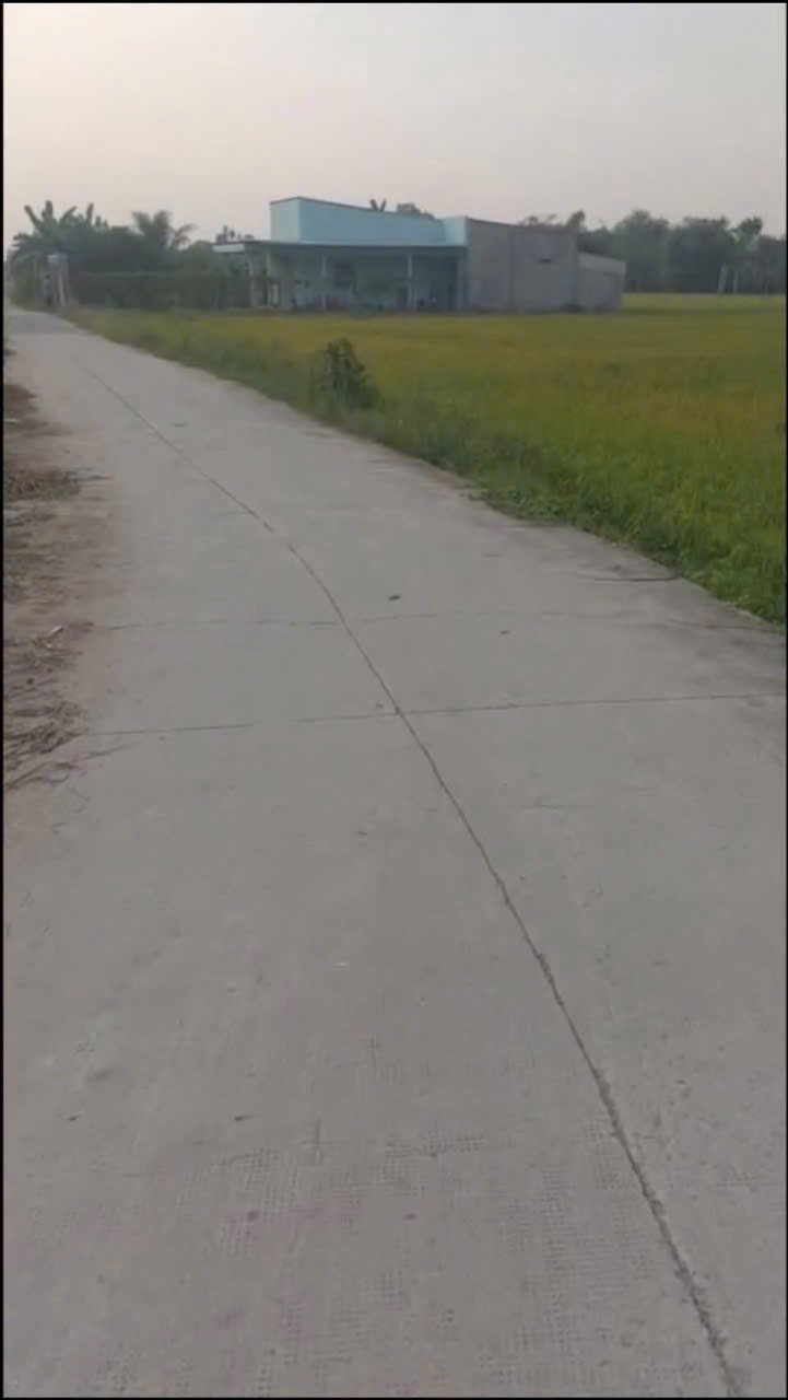 Bán đất xã Hiệp Hòa, Đức Hòa full thổ cư góc 2mt đường betong , dt 708m2 giá 2,3 tỷ 2