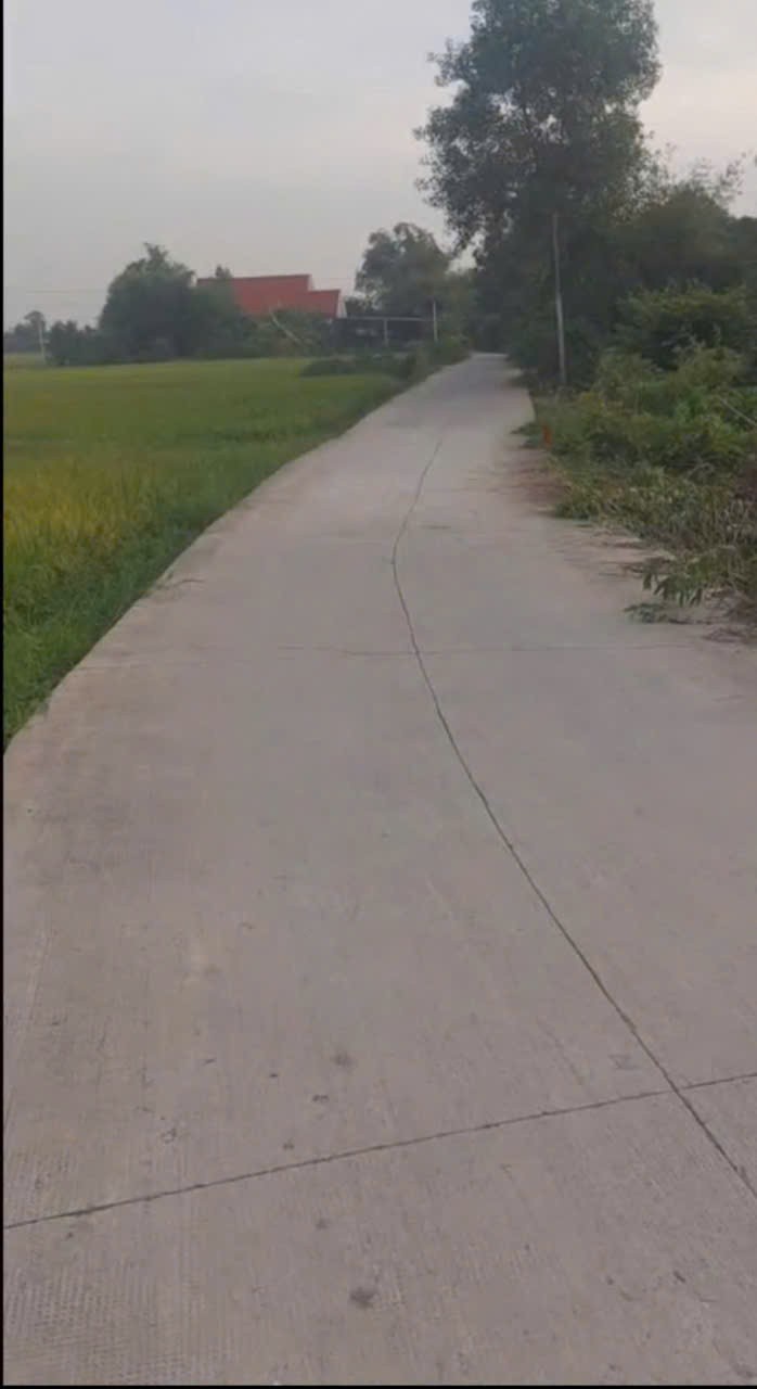 Bán đất xã Hiệp Hòa, Đức Hòa full thổ cư góc 2mt đường betong , dt 708m2 giá 2,3 tỷ 3