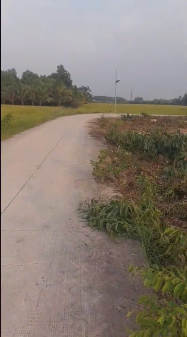 Bán đất xã Hiệp Hòa, Đức Hòa full thổ cư góc 2mt đường betong , dt 708m2 giá 2,3 tỷ 4