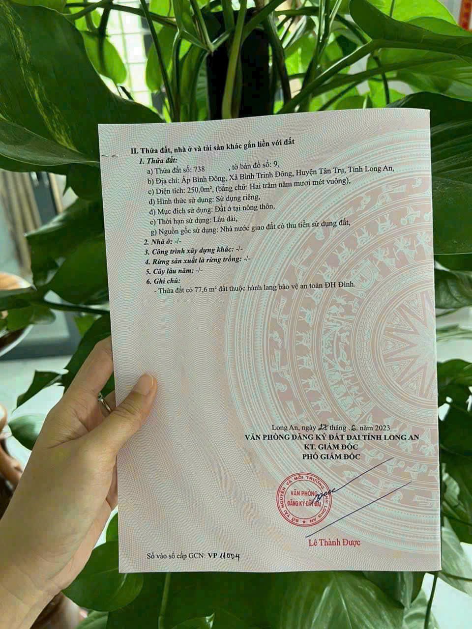 Bán đất thổ cư mt đường nhựa xã Bình Trinh Đông, Tân Trụ dt 250m2 giá 1,5 tỷ 3