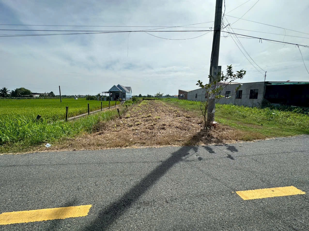 Bán đất thổ cư mt đường nhựa xã Bình Trinh Đông, Tân Trụ dt 250m2 giá 1,5 tỷ 4