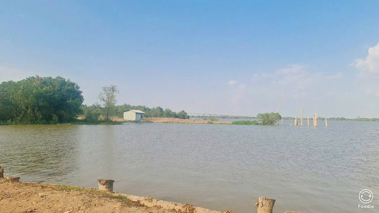 Cần bán Đất Phường Long Phước, Quận 9, Diện tích 4300m², Giá 09 Triệu/m² 3