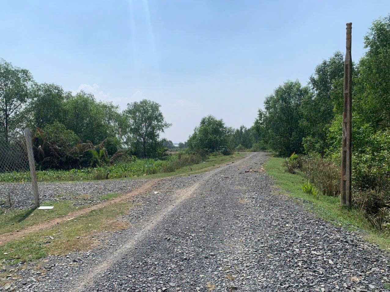 Cần bán Đất Phường Long Phước, Quận 9, Diện tích 4300m², Giá 09 Triệu/m²