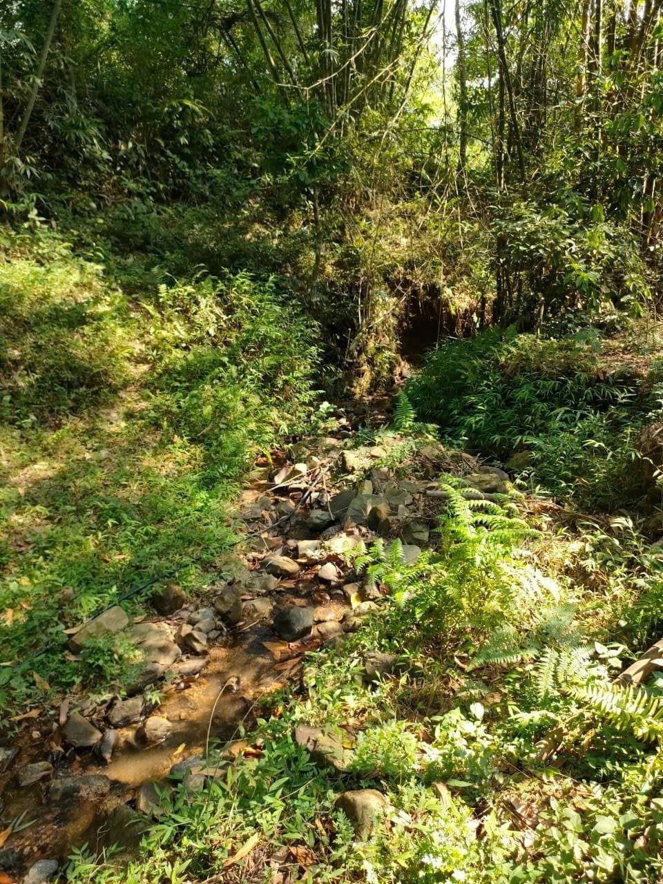 Cần bán Đất đường Quốc Lộ 12B, Xã Vĩnh Tiến, Diện tích 1210m², Giá Thương lượng 3