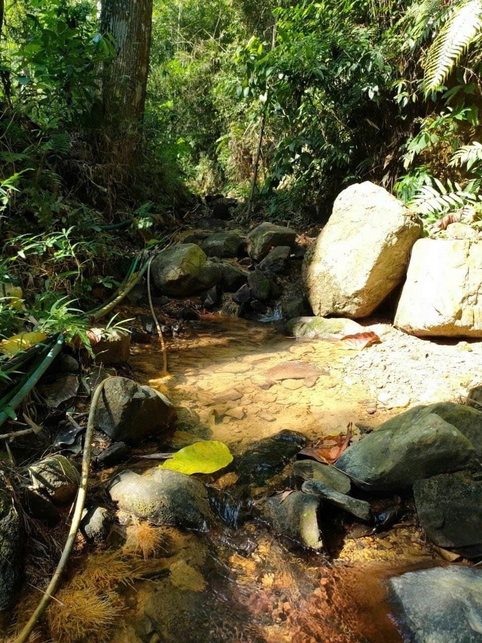 Cần bán Đất đường Quốc Lộ 12B, Xã Vĩnh Tiến, Diện tích 1210m², Giá Thương lượng 4