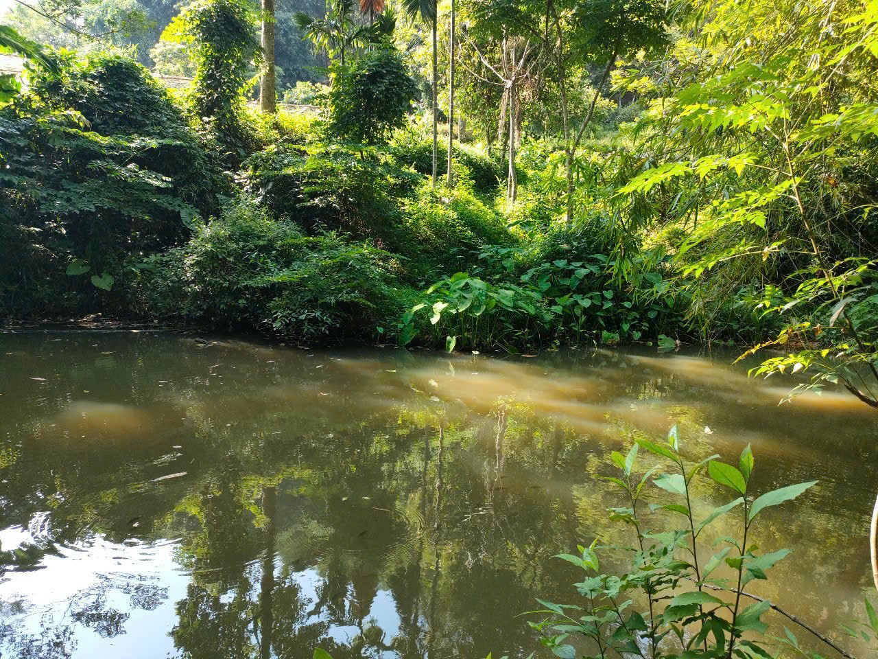 Cần bán Đất đường Quốc Lộ 12B, Xã Vĩnh Tiến, Diện tích 1210m², Giá Thương lượng 7