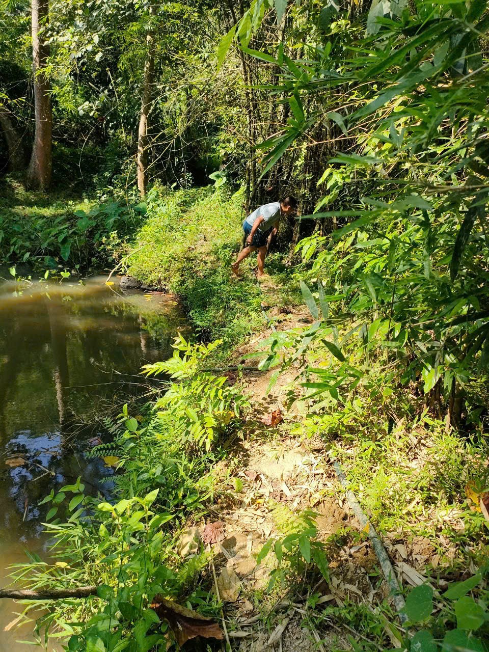 Cần bán Đất đường Quốc Lộ 12B, Xã Vĩnh Tiến, Diện tích 1210m², Giá Thương lượng 8