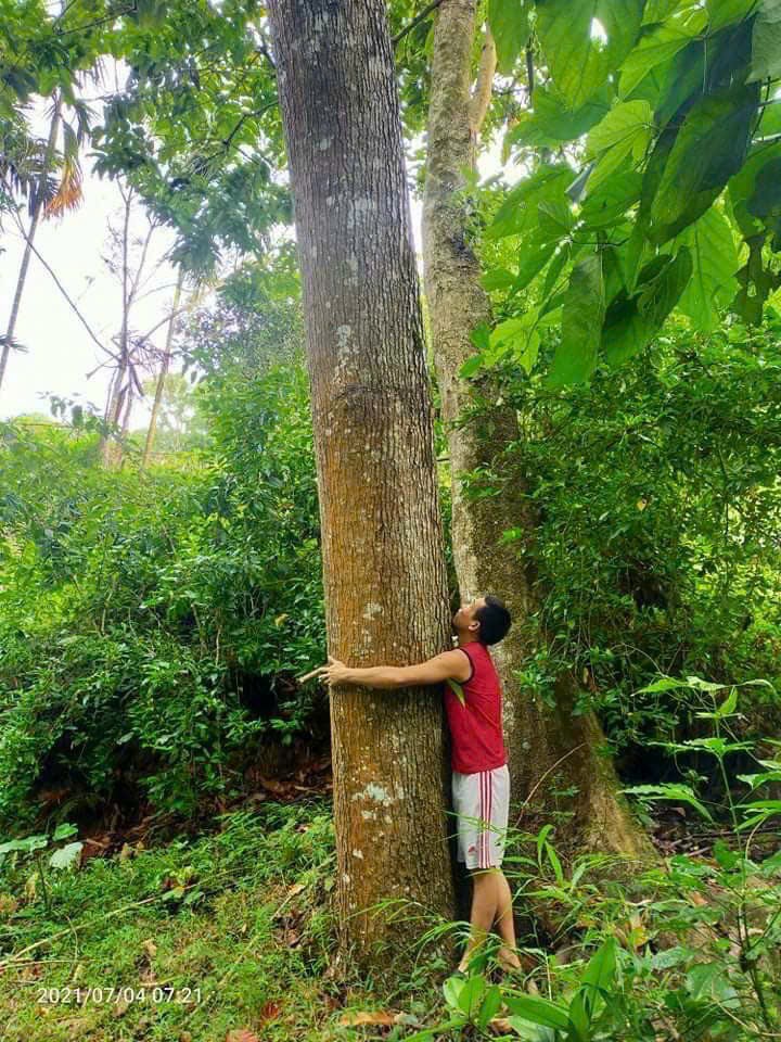 Cần bán Đất đường Quốc Lộ 12B, Xã Vĩnh Tiến, Diện tích 1210m², Giá Thương lượng 9