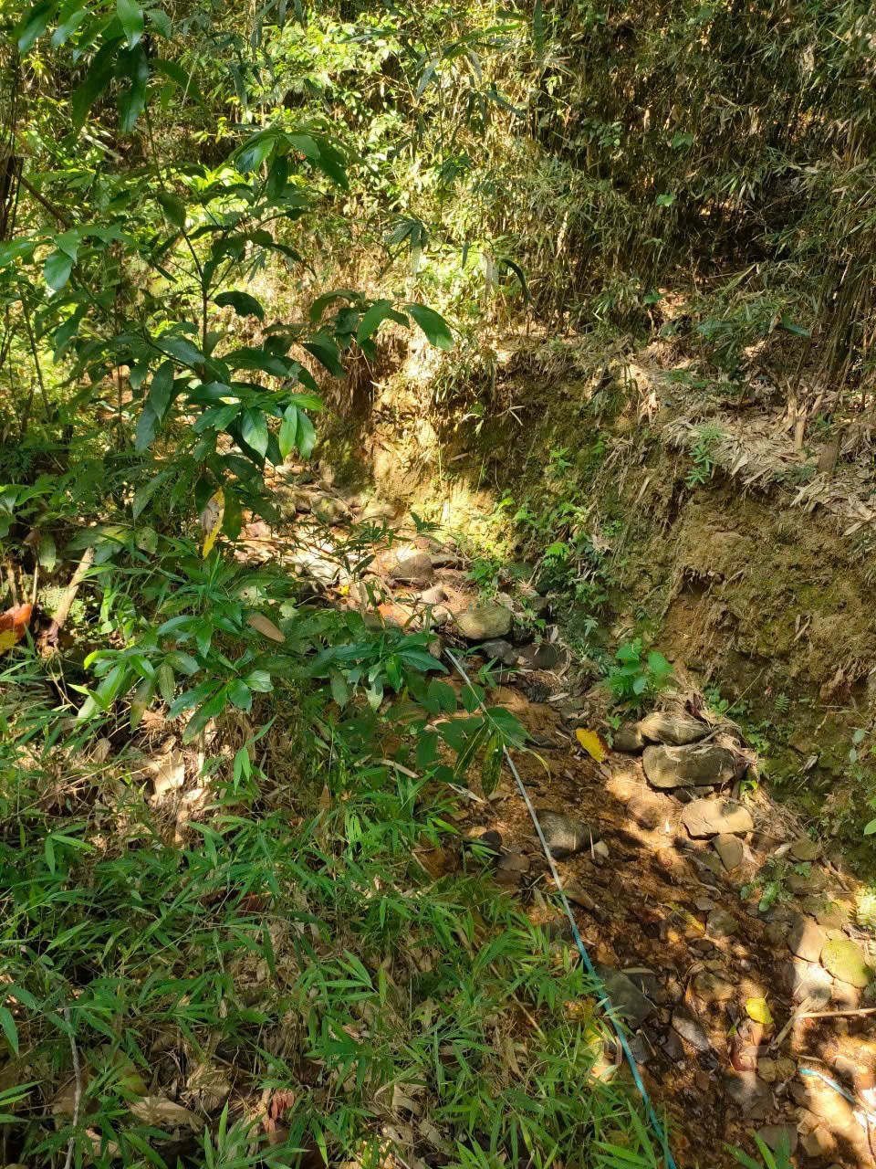 Cần bán Đất đường Quốc Lộ 12B, Xã Vĩnh Tiến, Diện tích 1210m², Giá Thương lượng 10