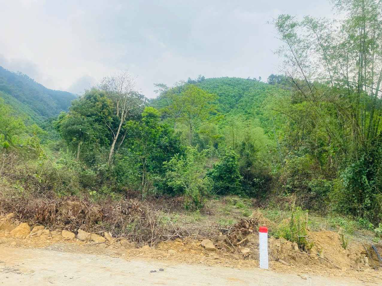 Cần bán Đất đường Quốc Lộ 12B, Xã Vĩnh Tiến, Diện tích 1210m², Giá Thương lượng 11