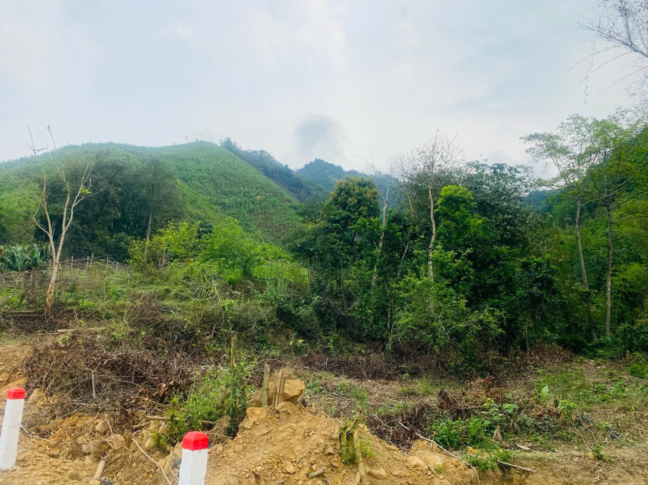 Cần bán Đất đường Quốc Lộ 12B, Xã Vĩnh Tiến, Diện tích 1210m², Giá Thương lượng 14