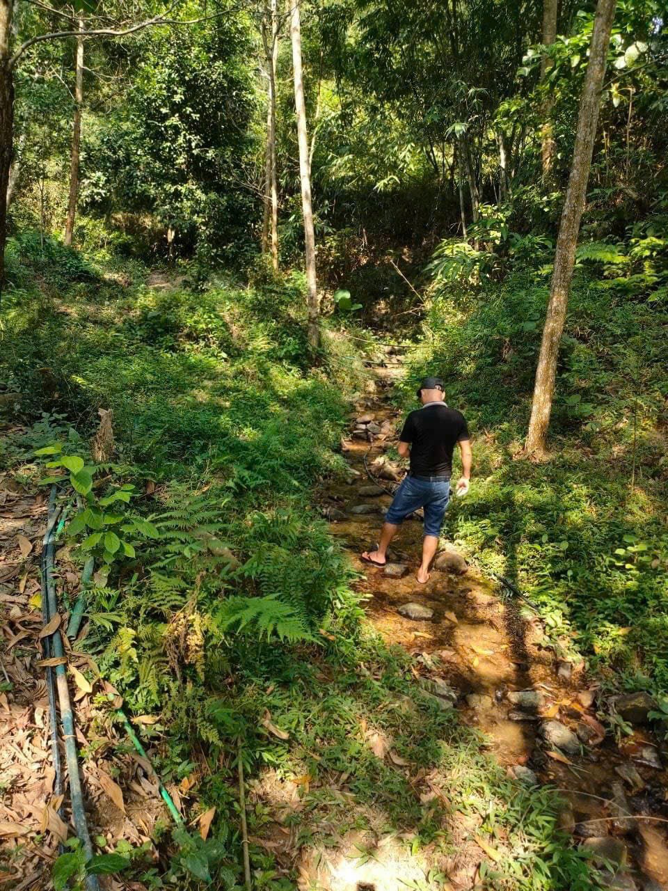 Cần bán Đất đường Quốc Lộ 12B, Xã Vĩnh Tiến, Diện tích 1210m², Giá Thương lượng 16