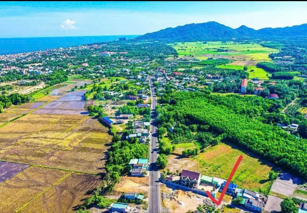 CHỦ KẸT TIỀN – CẦN BÁN GẤP LÔ ĐẤT GIÁP RANH THỊ TRẤN PHƯỚC HẢI – PHƯỚC HỘI, ĐẤT ĐỎ – BRVT 4