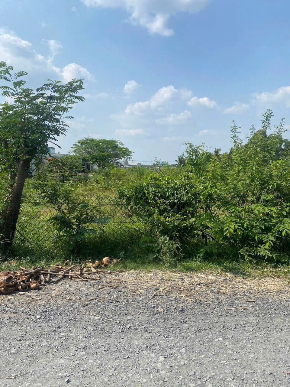 Bán đất thổ cư hẻm thị trấn Hậu Nghĩa dt 140m2 giá 1,25 tỷ 3