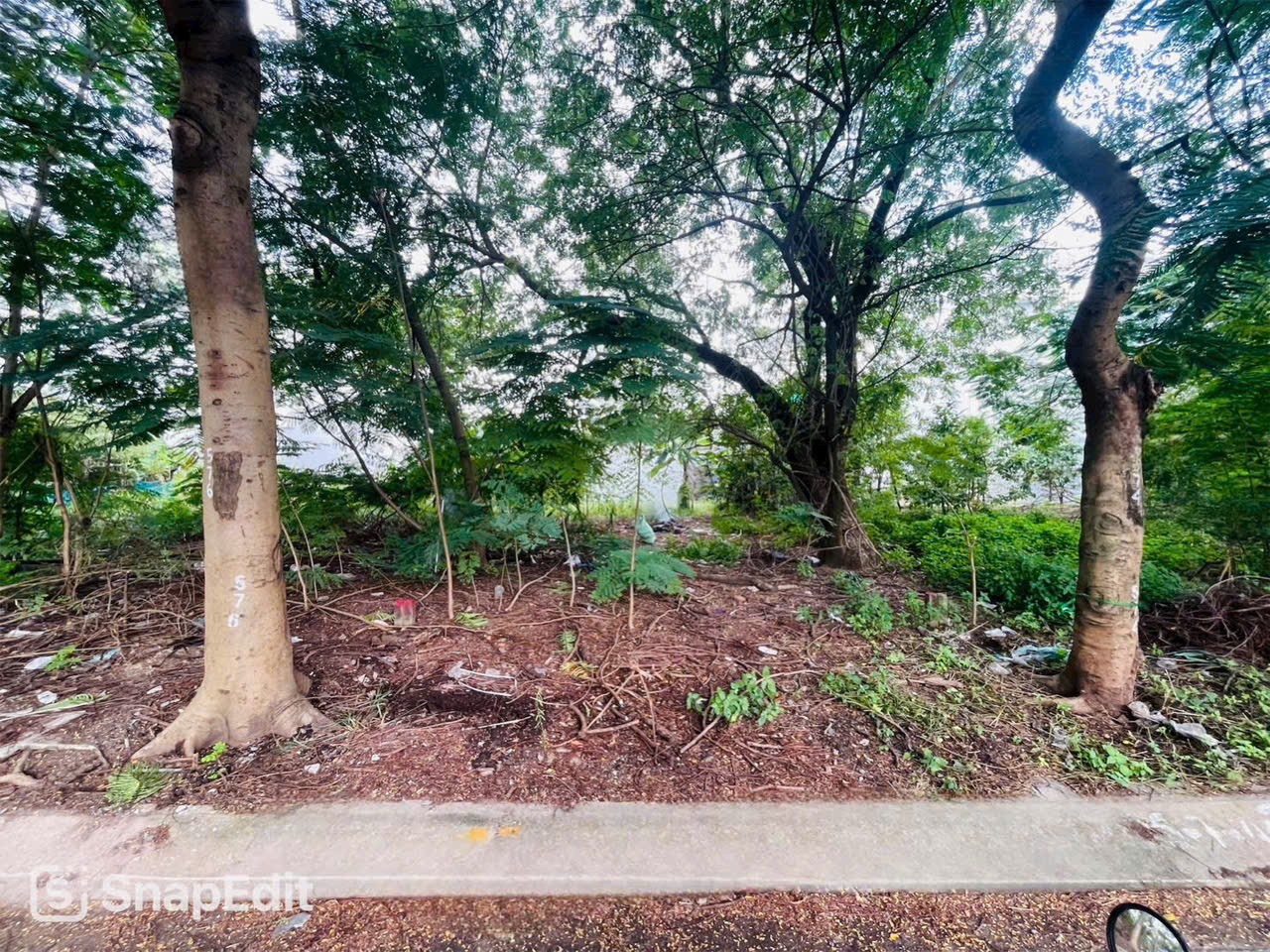 Cần bán Đất Phường Cát Lái, Quận 2, Diện tích 100m², Giá 76 Triệu/m² 2