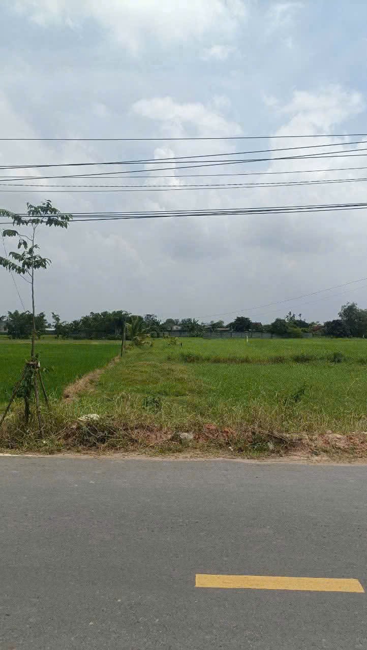 Bán đất thổ cư mặt tiền nhựa Láng Cẩm, xã Đức Lập Hạ dt 240m2 giá 2,8 tỷ 2