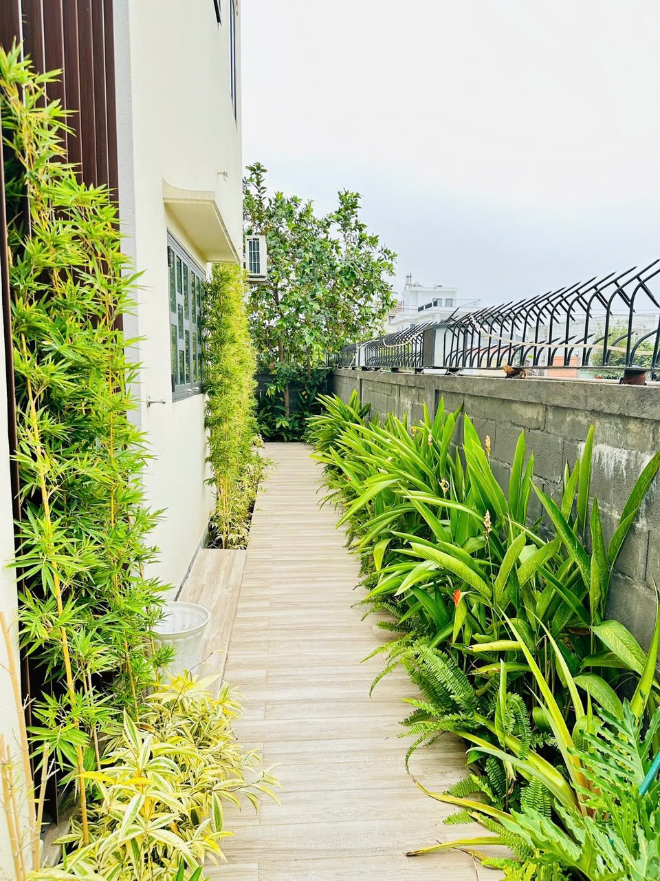 Cho thuê Biệt thự Phường Phú Hữu, Quận 9, Diện tích 800m², Giá 100 Triệu/tháng 9